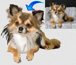 Pet Portraits  Custom Pet Portraits  Digital Portraits- Pet Pix Print