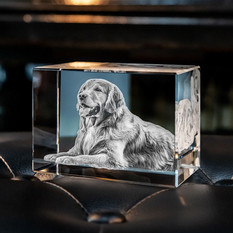 Engraved 3D Crystal Pet Photo Lamp